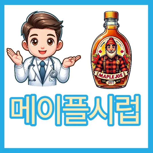 캐나다 메이플시럽 메이플조 메이플 시럽 효능 가격 칼로리 보관방법