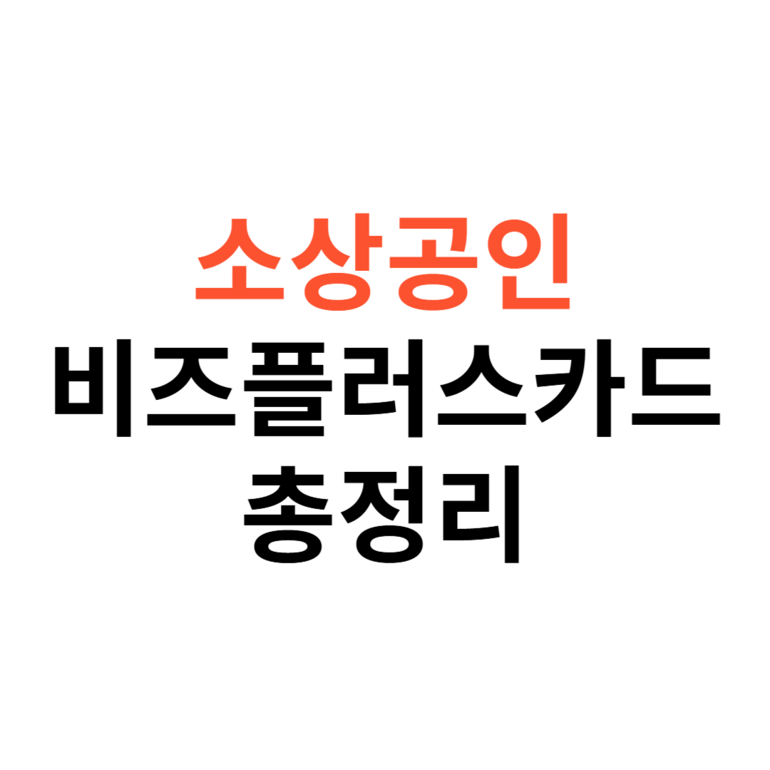 소상공인 비즈플러스카드