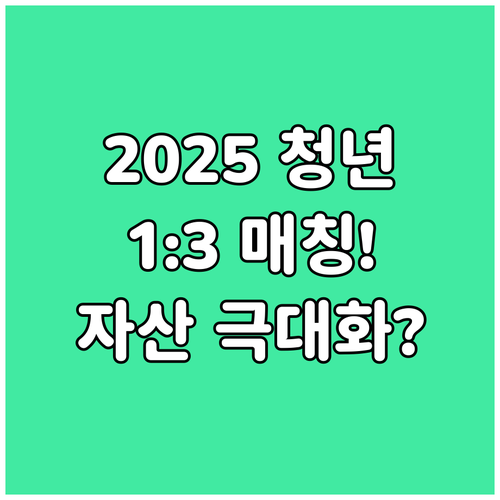 2025 청년내일저축계좌 1:3 차등..