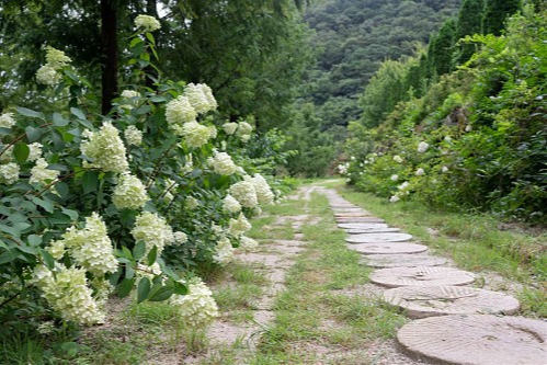 특색 있고 아름다운 민간 정원 30선 추천 여행 - 14. 고성 그레이스 정원