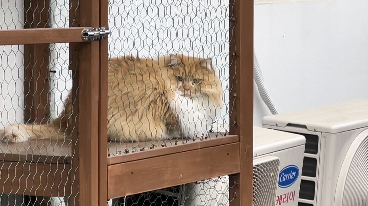 양주카페-목다향