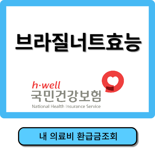 브라질너트 하루 섭취량, 효능