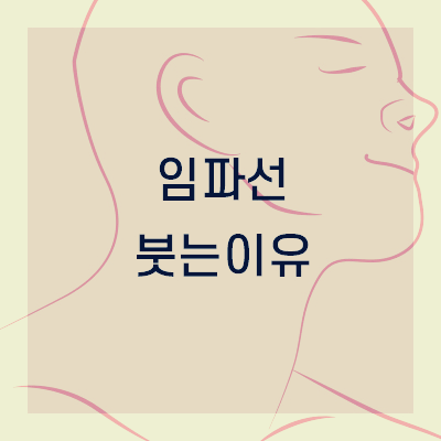 임파선 붓는 이유