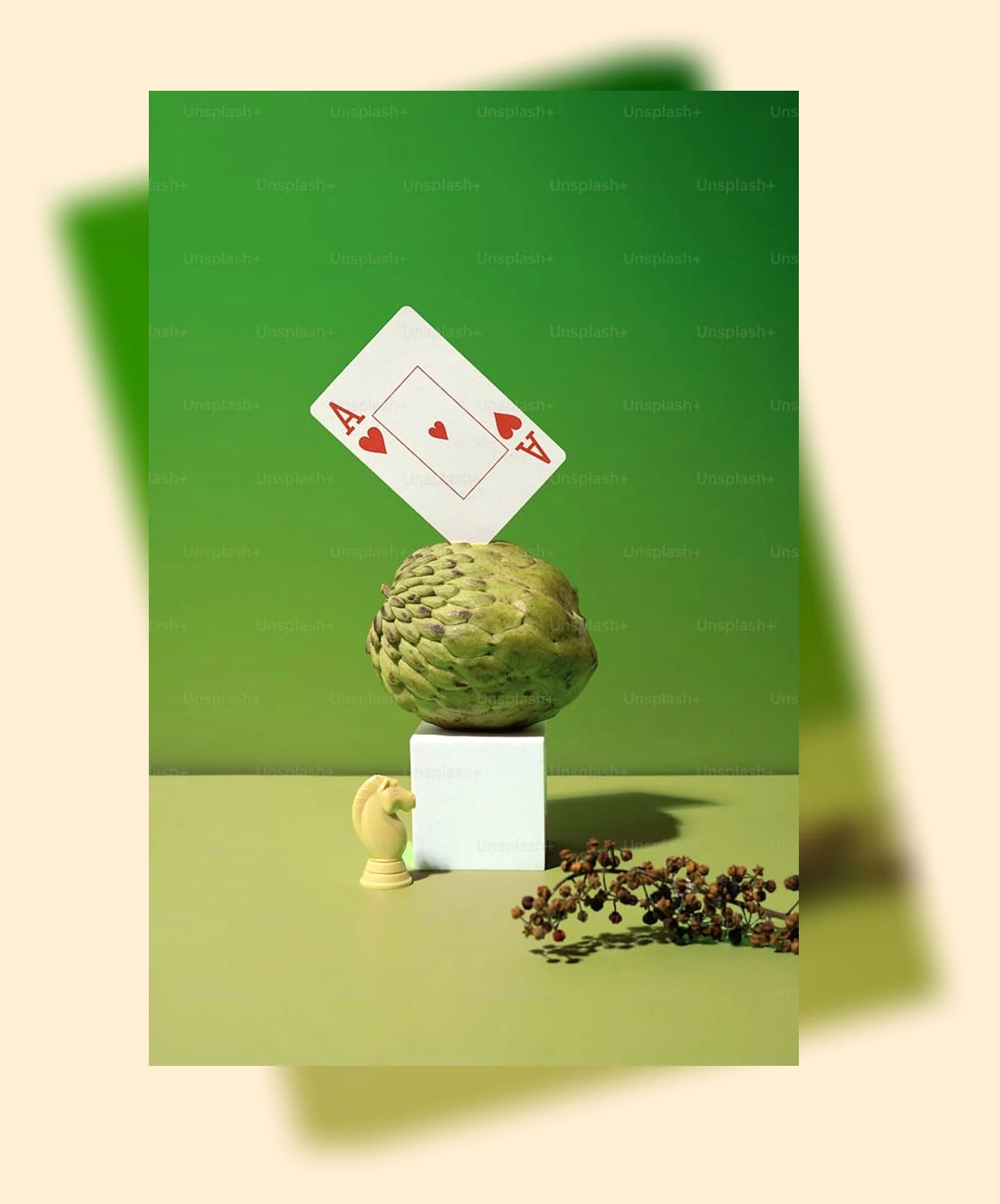 Image 문화누리카드