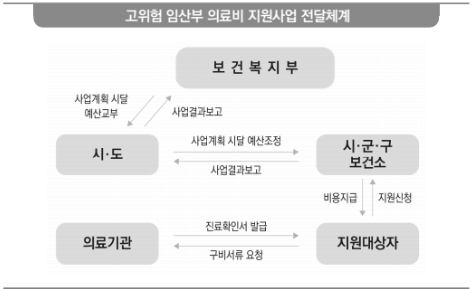 고위험 임산부 의료비 지원 사업: 신청 방법, 19대 질환 상세 안내