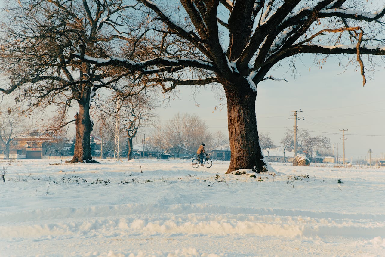 슬로우 라이프 74 : 느린 회복 구조 – 무너지기 전에 회복이 시작되도록 설계합니다
