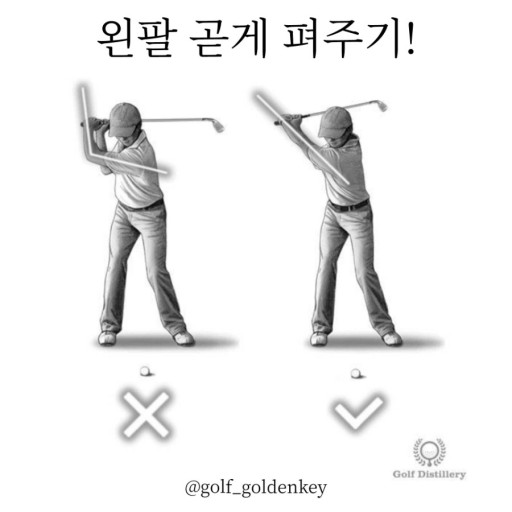 골프 백스윙 자세