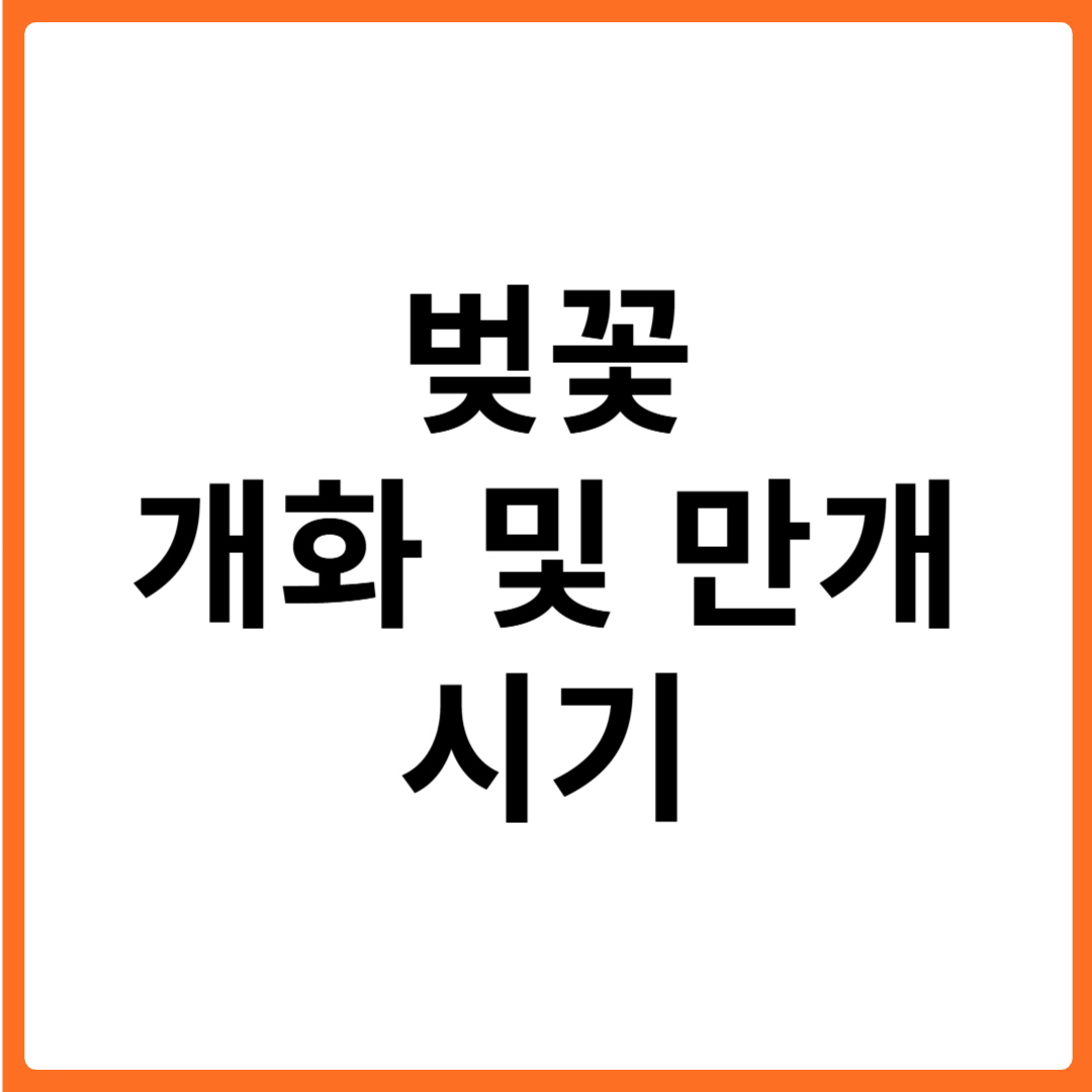 벚꽃 만개 시기 명소 2025년 지역별