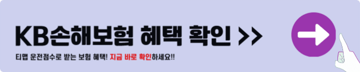 KB 손해보험 운전자보험