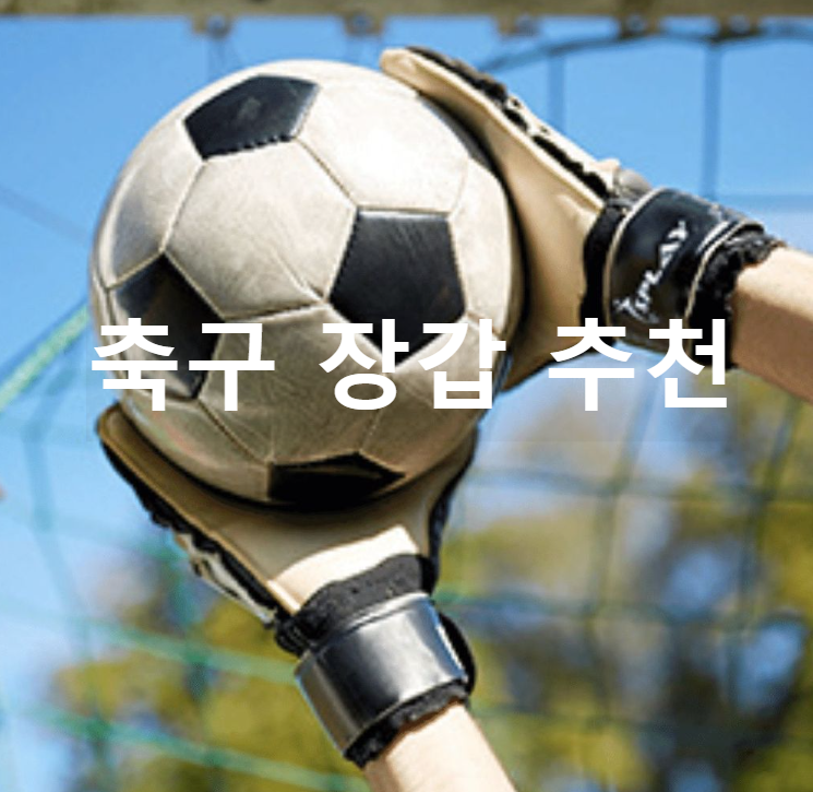 축구 장갑
