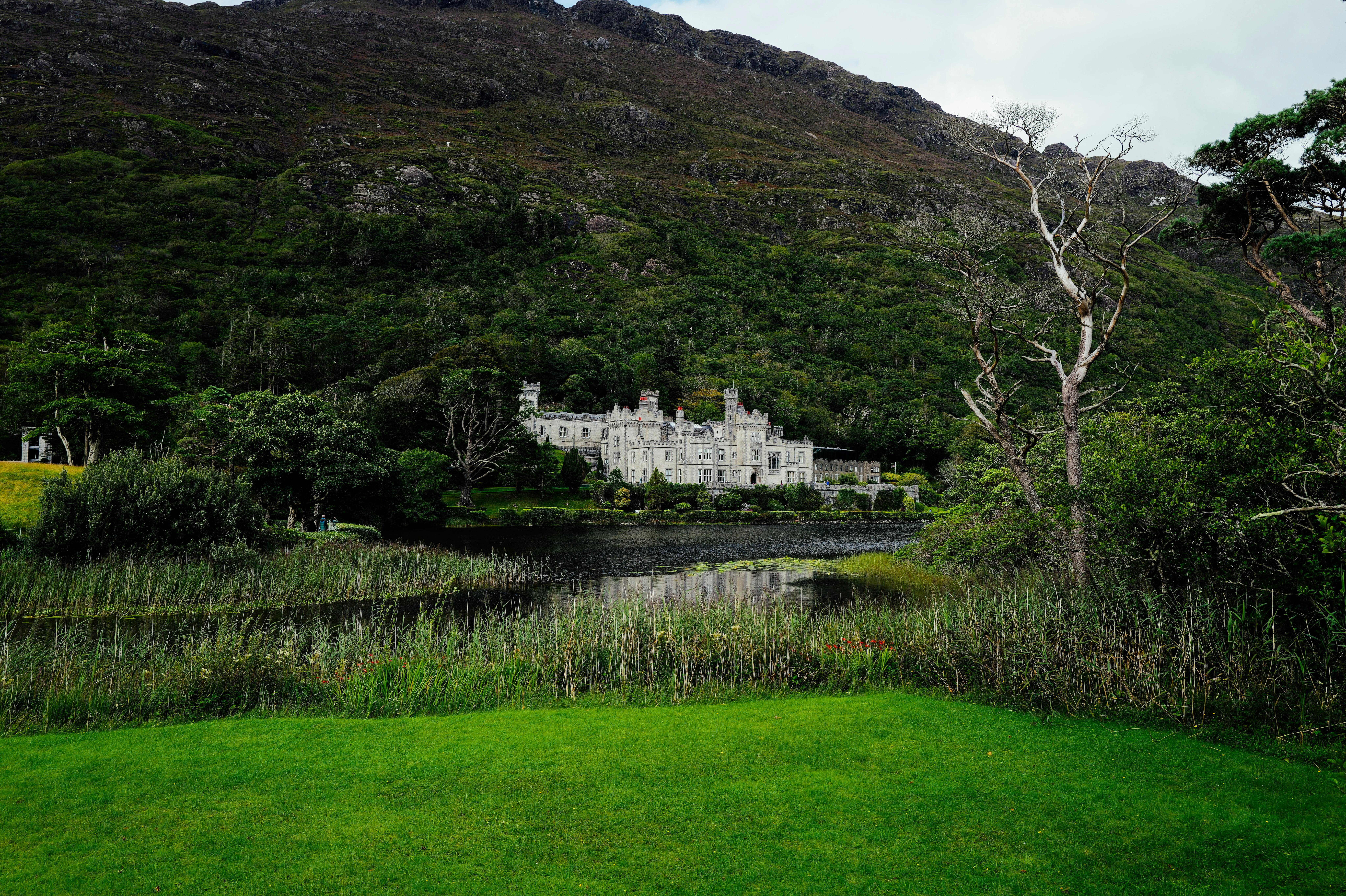 1015 조정대상지역