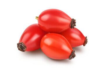 로즈힙퓨레 효능, 항산화제로 면역력 키워보세요. 로즈힙은 차로도 많이 먹고 있는데 생각보다 많은 효능이 있다고 합니다.