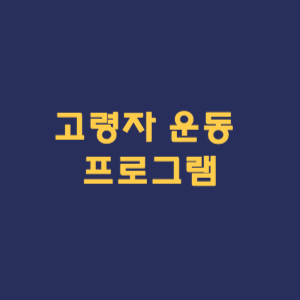 고령자를 위한 효과적인 운동 프로그램 가이드