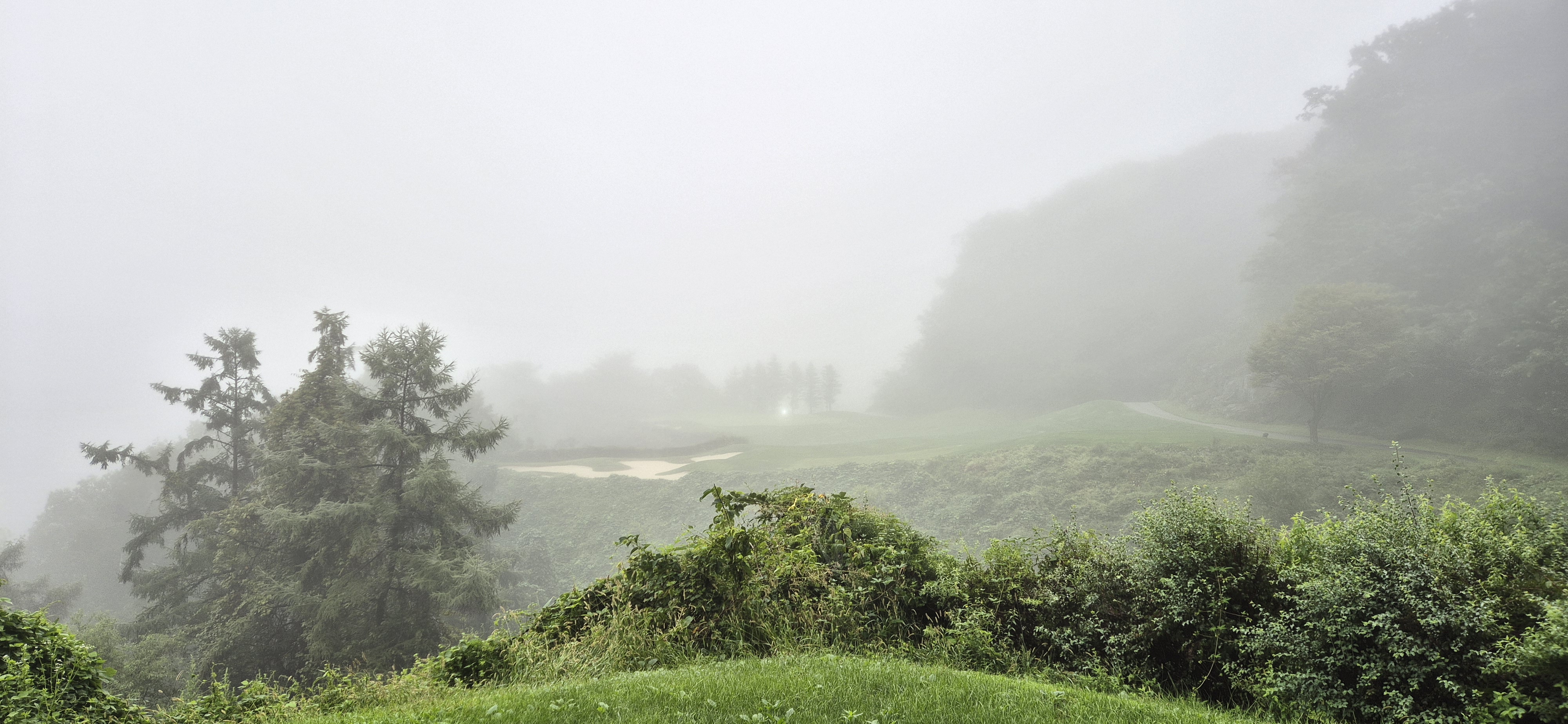 더플레이어스cc