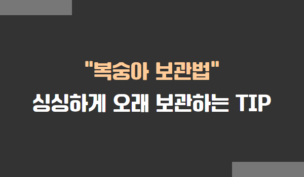 복숭아 보관법, 복숭아 싱싱하게 오래 보관하는 방법