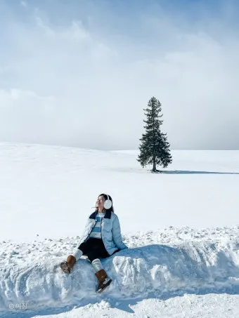 삿포로 날씨 여행 삿포로 지도 꿀팁 정리_3