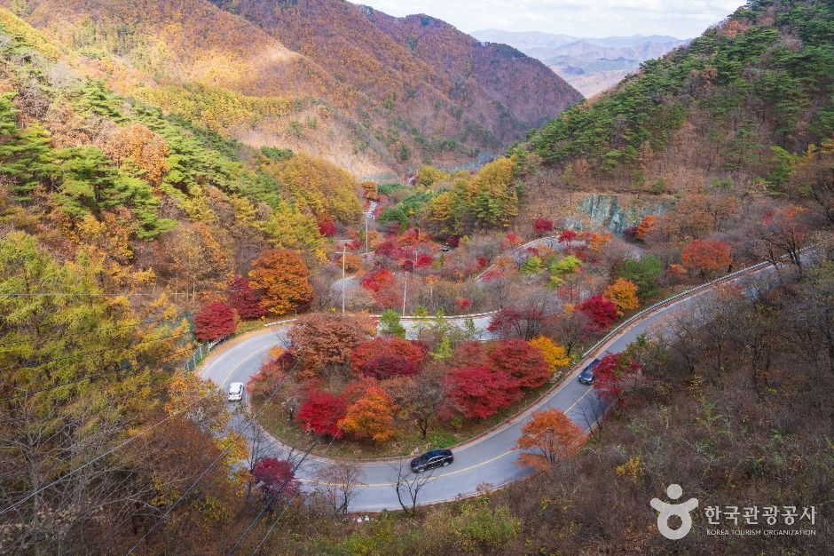 단양 가을 여행 보발재 단풍 굽잇길