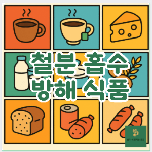 철분 흡수 방해 식품