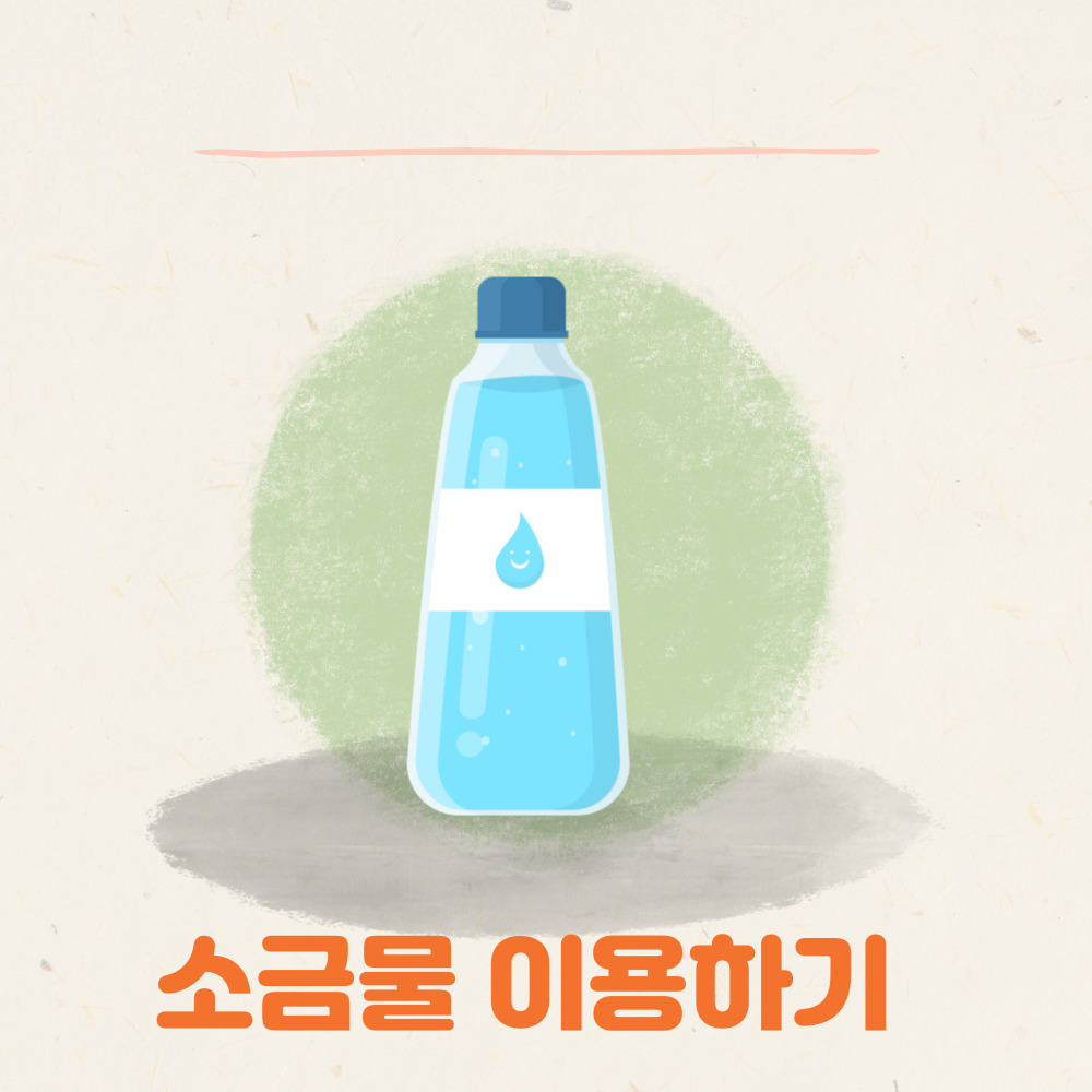 조치방법- 소금물 이용하기