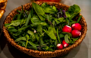 품격 있는 봄 제철 요리: 두릅적 칼색 살리는 손질법과 소고기 밑간 황금 비율