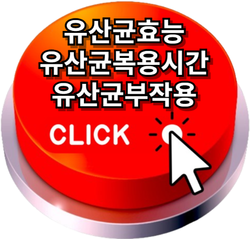 유산균효능, 유산균복용시간, 유산균부작용