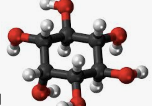 임신준비 영양제