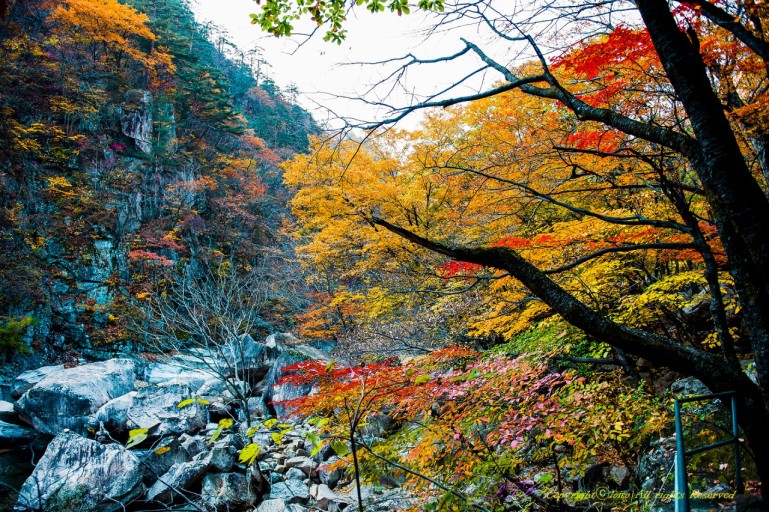 설악산 단풍시기