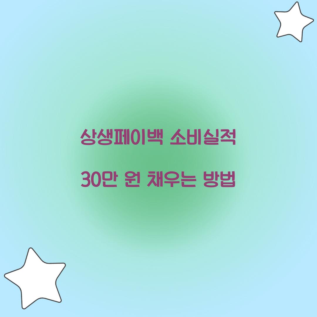 상생페이백 소비실적 30만 원 채우는 방법