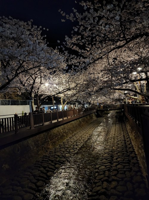 진해 여좌천 로망스다리 