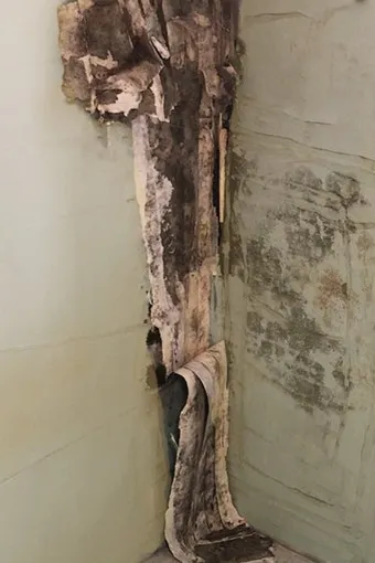 곰팡이 냄새 빨래통 환기와 햇빛 건조 베이킹소다 뿌리기_4