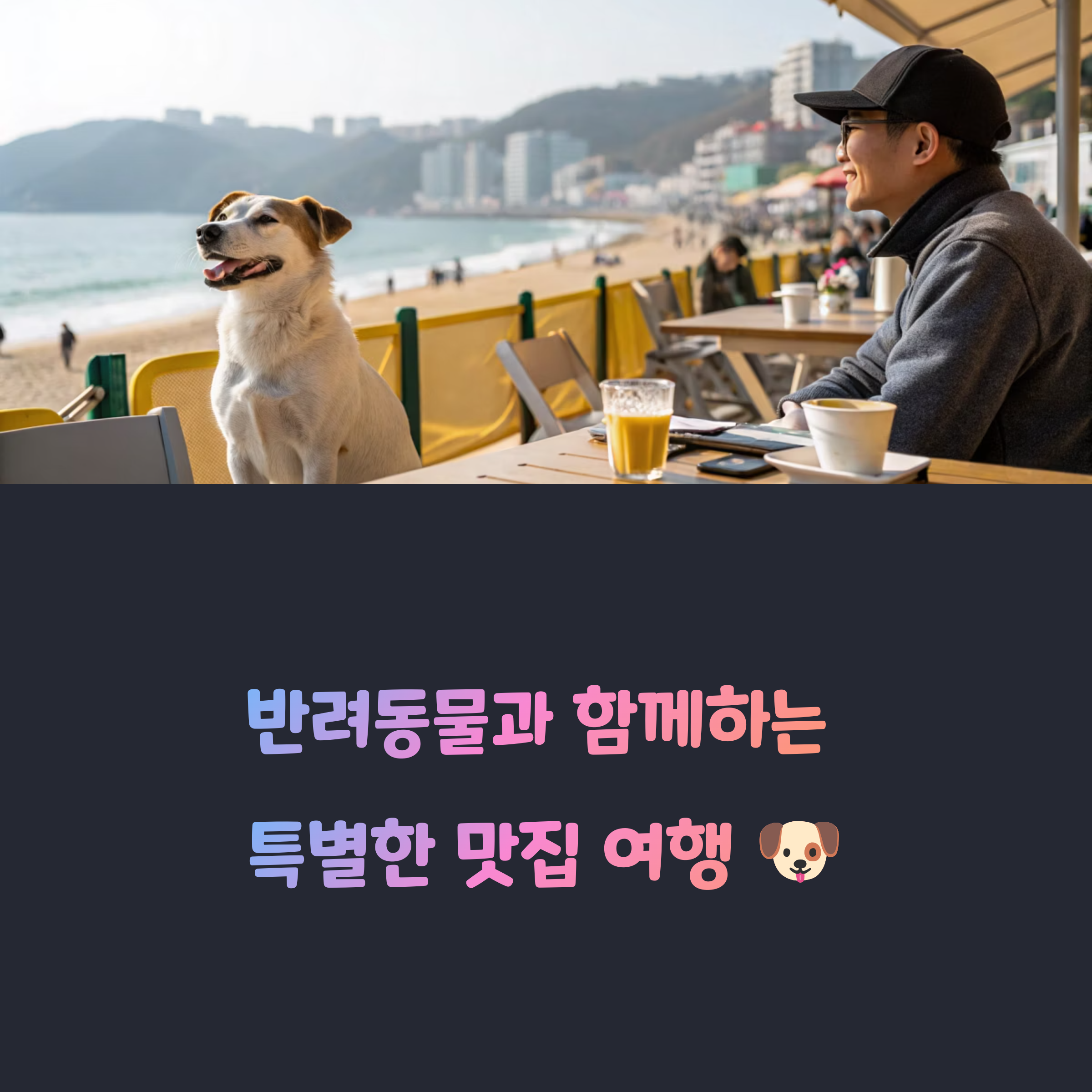 반려동물 동반가능 맛집추천