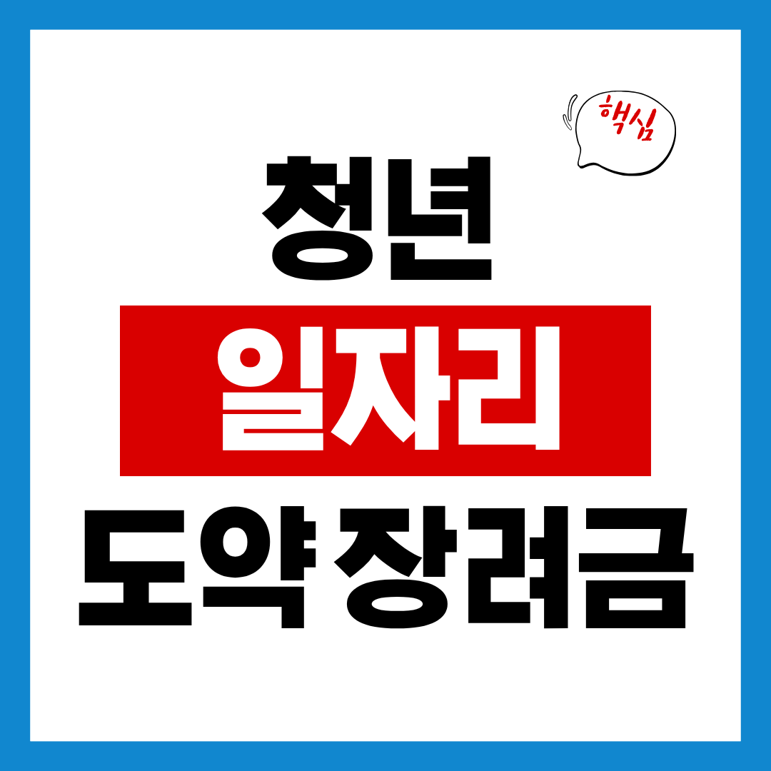 청년일자리 도약장려금