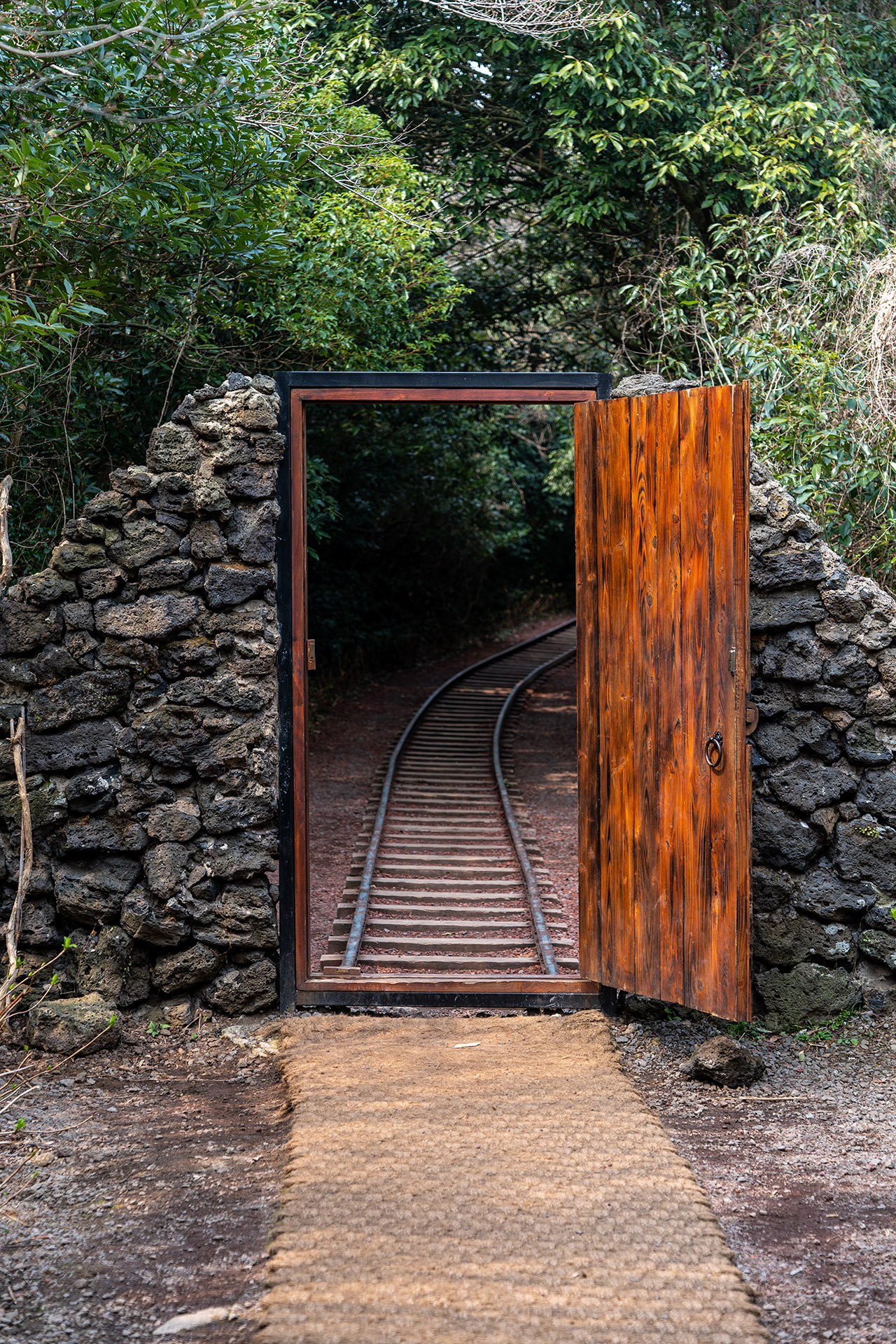 산양큰엉곶(산양곶자왈) 기찻길