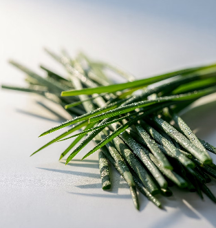 간에 좋은 음식 10