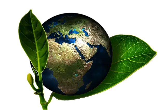 공공데이터를 기반으로 에너지 사용량에 대한 환경 블로그를 만든다.