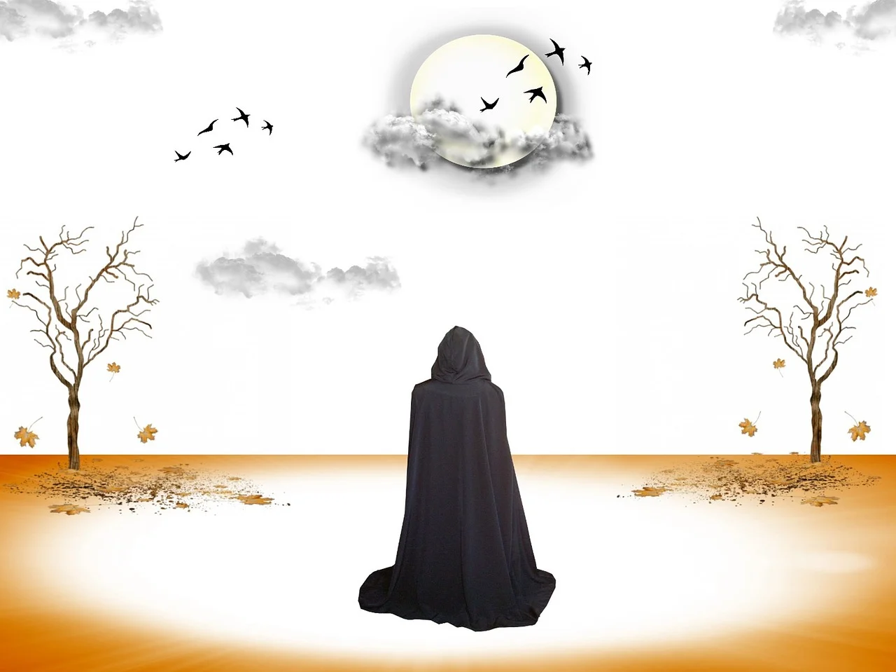 회피하고 있는 모습의 사진