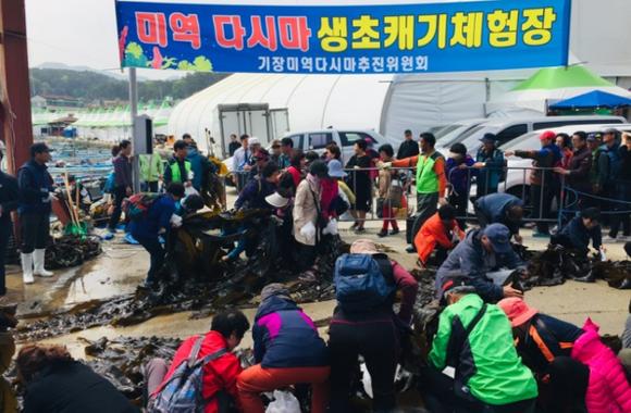 기장미역다시마축제