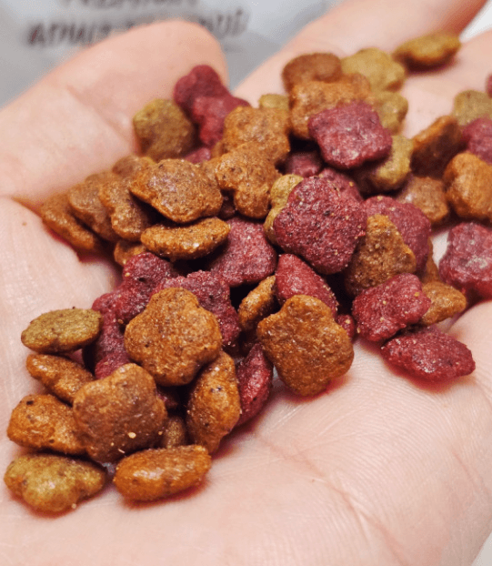 고양이 식욕저하, 근육경련의 원인 볼드모트 사료