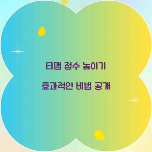 티맵 점수 높이기