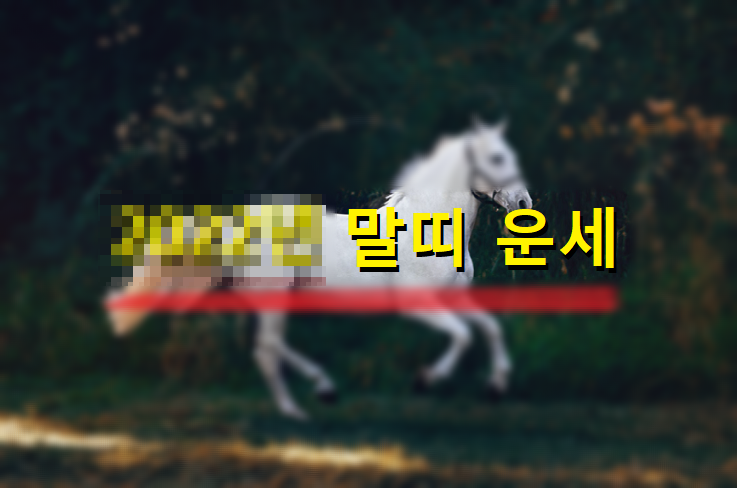 2022년말띠운세