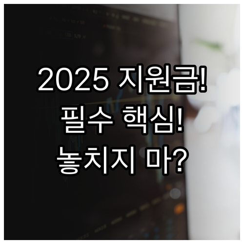 2025 판로진출지원 지원 내용과 필..