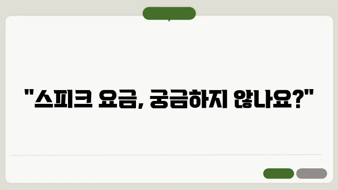 speak 요금 정보 자세히 설명