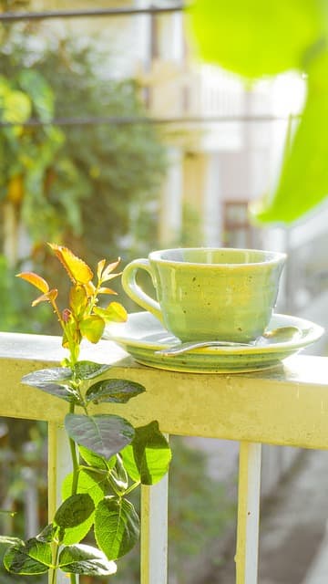 전통차 보관 방법과 장기 숙성의 비밀