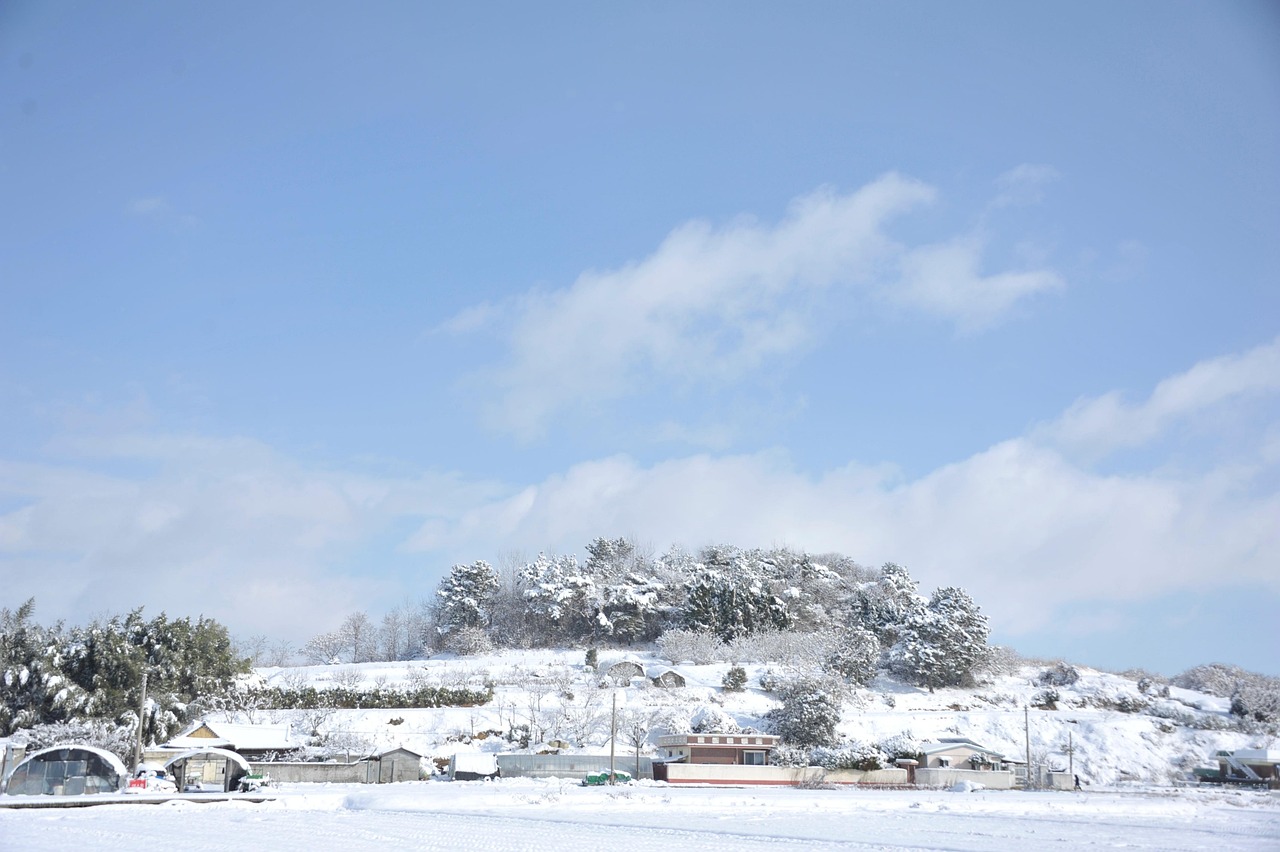 고향사랑기부제 완벽 가이드