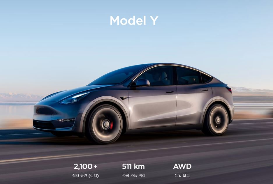 테슬라-모델y