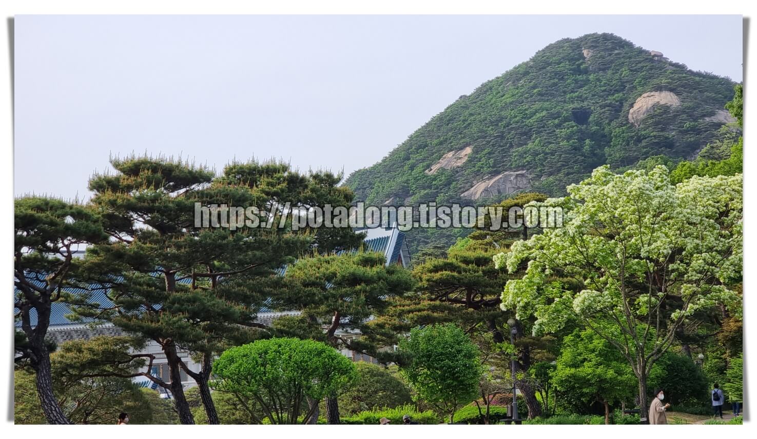 청와대 관람