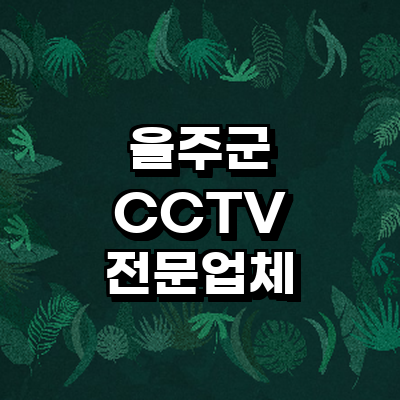 울산 울주군 cctv