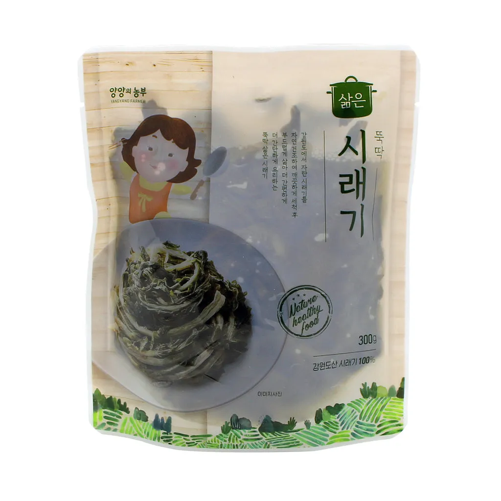 양양 가볼만한곳 베스트10 여행 코스 맛집_2