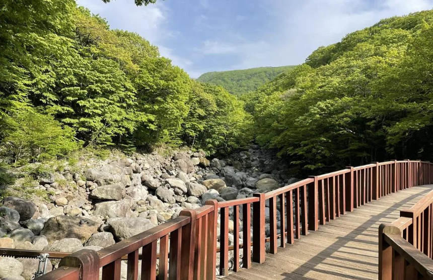 한라산 제대로 보는 법｜사진 명소&middot;코스 추천까지 완전 정리