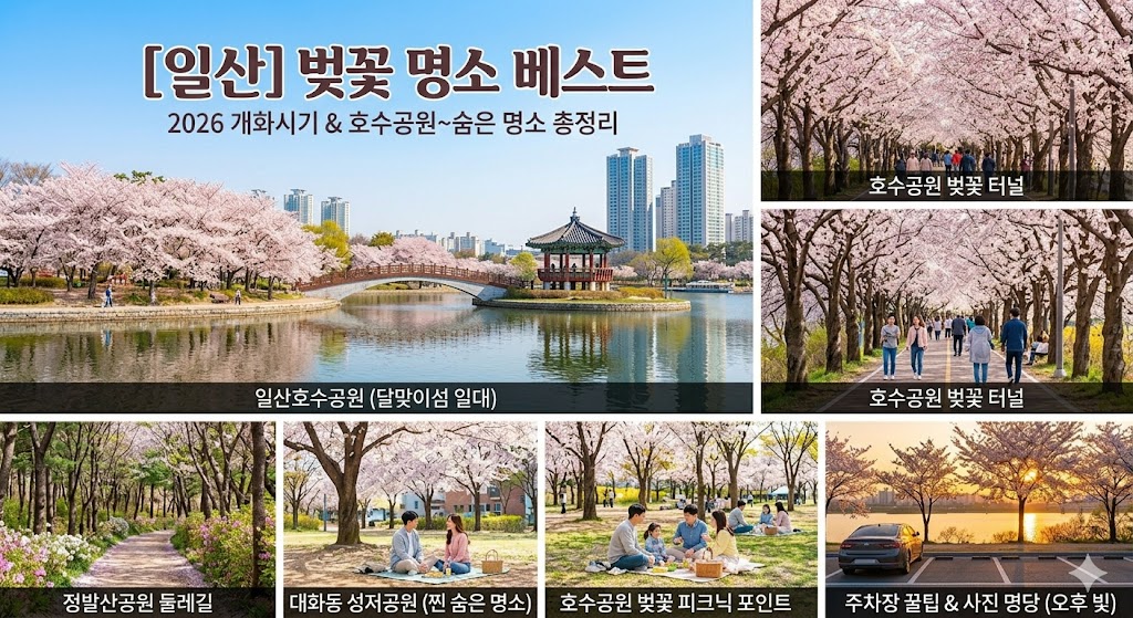 일산 벚꽃 명소